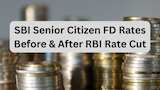 https://www.zeebiz.com/personal-finance/photo-gallery-sbi-senior-citizen-current-fd-rates-what-will-be-maturity-amount-on-rs-550000-if-sbi-cuts-rate-by-25-bps-after-rbi-repo-rate-cut-in-1-to-10-year-fds-sanjay-malhotra-367653
