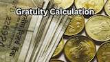 https://www.zeebiz.com/personal-finance/photo-gallery-gratuity-calculator-what-will-be-your-gratuity-amount-on-inr-rs-35000-55000-and-75000-last-drawn-basic-salary-11-years-8-months-of-service-368077