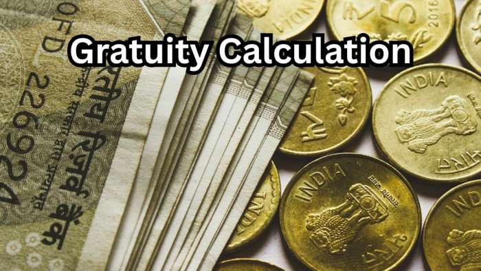 https://www.zeebiz.com/personal-finance/photo-gallery-gratuity-calculator-what-will-be-your-gratuity-amount-on-inr-rs-35000-55000-and-75000-last-drawn-basic-salary-11-years-8-months-of-service-368077