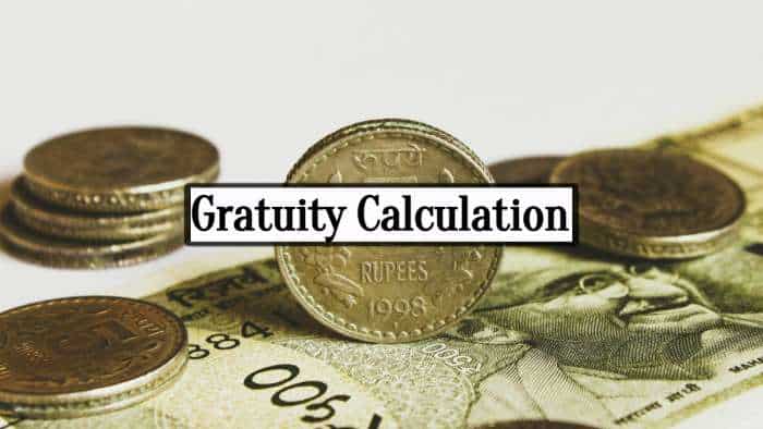 Gratuity Calculation: How much should be your salary to get Rs 3,00,000 gratuity after 6 years and 8 months of service?