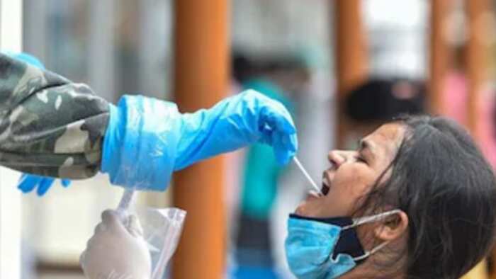 Covid-19 in India: Active cases jump to 7,400; 9 deaths in 24 hours; Kerala, Gujarat, and Delhi among worst hit
