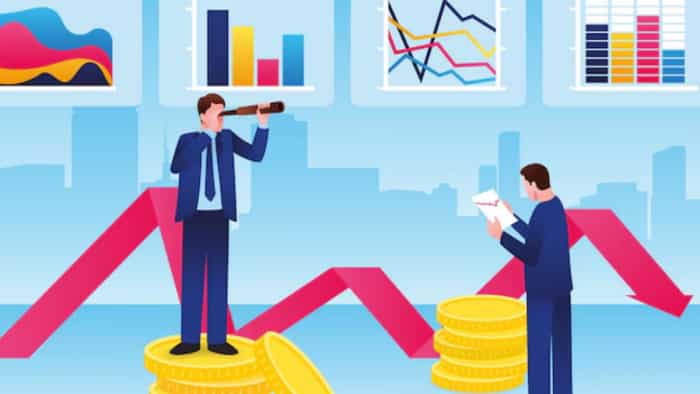 How many stocks should an investor own? Check marquee investors style, portfolio size