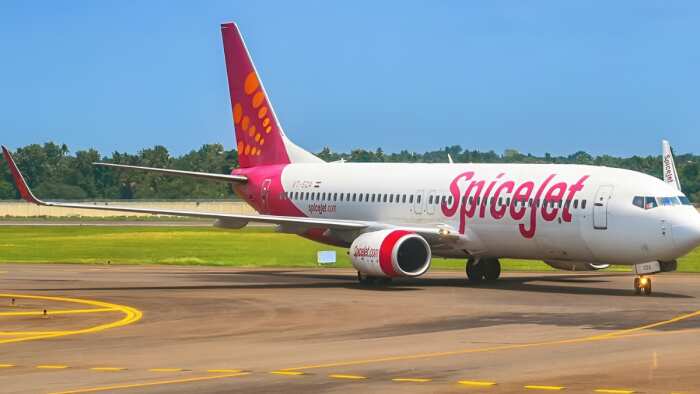 SpiceJet Q4 Results: PAT jumps 173% YoY to Rs 325 crore; airline posts first full-year net profit in 7 years