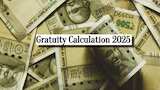 https://www.zeebiz.com/personal-finance/photo-gallery-gratuity-calculation-what-will-be-your-gratuity-for-rs-40000-rs-50000-rs-60000-last-drawn-salary-after-6-years-and-9-months-of-service-369489