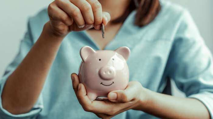 Household savings in India drop to 18.1% of GDP in FY24: CareEdge Ratings