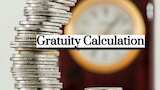 https://www.zeebiz.com/personal-finance/photo-gallery-gratuity-calculator-what-will-be-your-gratuity-for-inr-rs-55000-75000-95000-last-drawn-salary-after-9-years-4-months-of-service-for-resignation-early-retirement-corpus-370726