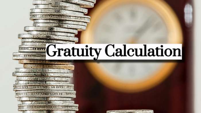 https://www.zeebiz.com/personal-finance/photo-gallery-gratuity-calculator-what-will-be-your-gratuity-for-inr-rs-55000-75000-95000-last-drawn-salary-after-9-years-4-months-of-service-for-resignation-early-retirement-corpus-370726