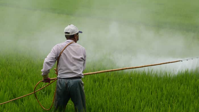 India&#039;s agrochemical exports set for moderate rebound in FY25: Rubix report
