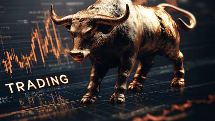 Final trade: Markets shine as Sensex gains 226 points, Nifty crosses 25,050