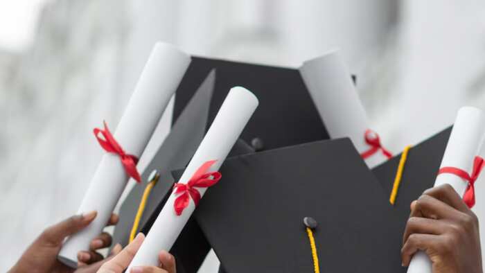 India’s higher education sector set for 9–11% revenue growth in FY2026: ICRA