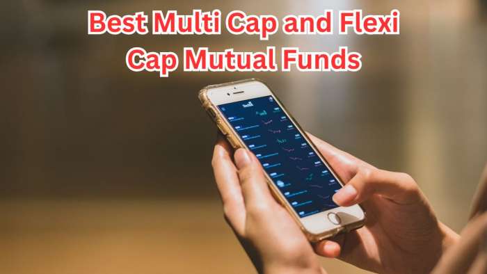 https://www.zeebiz.com/personal-finance/mutual-fund/photo-gallery-top-multi-cap-and-flexi-cap-mutual-funds-with-highest-sip-xirr-returns-in-3-years-calculator-inr-rs-25000-monthly-investment-has-grown-to-1350000-nifty-500-tri-bse-372493