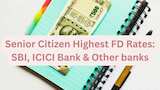 https://www.zeebiz.com/personal-finance/photo-gallery-senior-citizen-latest-fd-rates-here-is-what-banks-like-sbi-pnb-icici-bank-hdfc-bank-are-giving-on-maturity-of-rs-1150000-fixed-deposit-interest-rates-compound-interest-372939