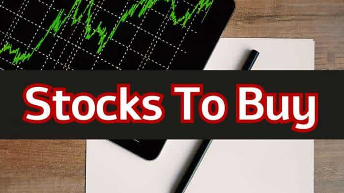  10 Stocks To Buy For Long Term: Analysts recommend largecap, midcap, smallcap scrips; Glenmark Pharma, TCS on the list 