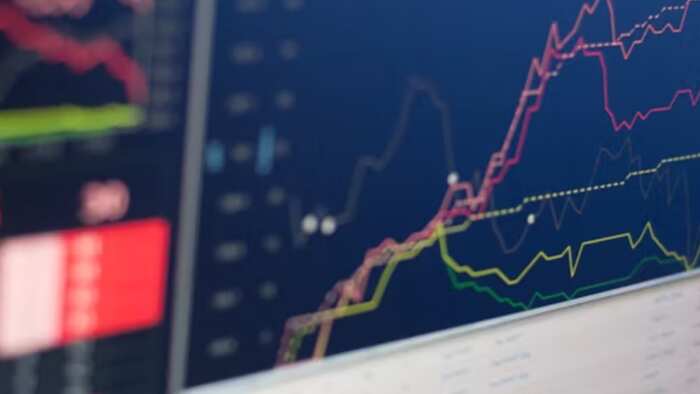 Tata Group stocks in focus: Rallis India up 6%, Tejas Networks down 8%, Tata Tech flat, Tata Motors steady