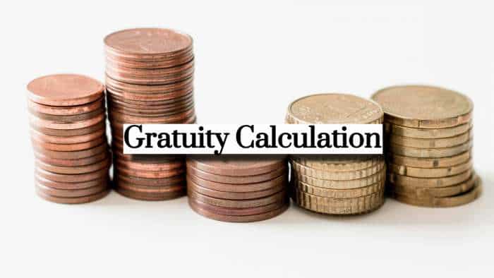 Gratuity Calculator: What will be your gratuity for Rs 65,000, Rs 75,000 &amp; Rs 85,000 last-drawn basic salary after 9 years and 6 months of service?