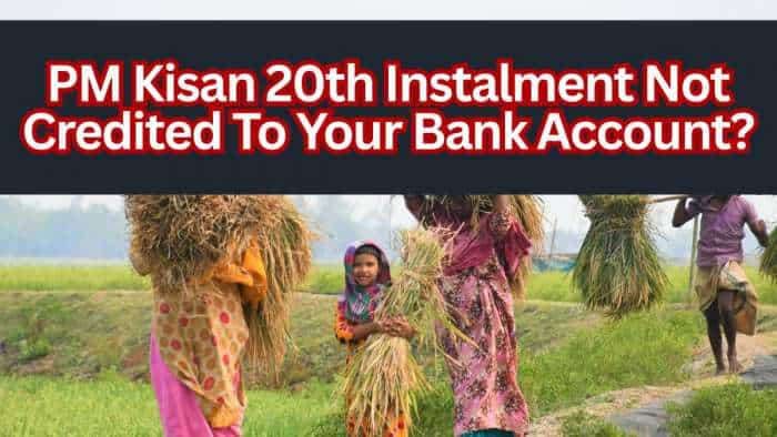 PM Kisan Yojana 20th installment: Rs 2,000 not credited to your bank account? Here&#039;s how to register complaint online