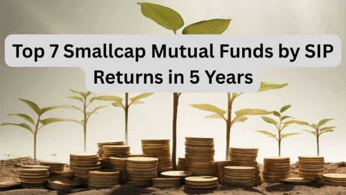 Top 7 Smallcap Funds in 5 Years: Rs 12,000 monthly SIP in No. 1 scheme has led to Rs 15.69 lakh wealth