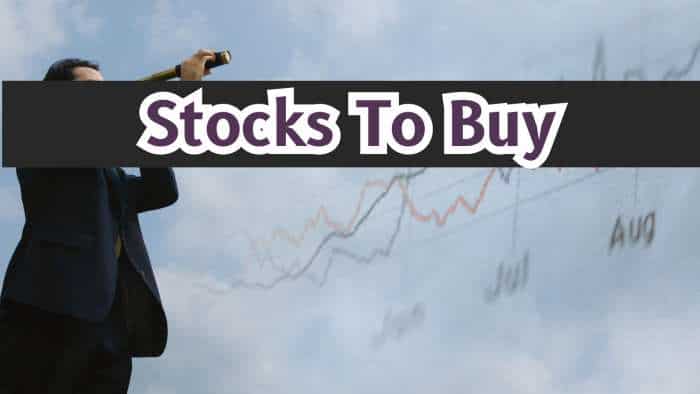 10 Stocks To Buy For Long Term: Analysts recommend 8 largecap, 1 midcap, 1 smallcap scrips; Manappuram Finance on the list