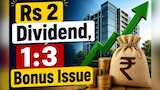 https://www.zeebiz.com/markets/stocks/news-rs-2-dividend-13-bonus-issue-double-delight-to-shareholders-check-record-date-update-395110