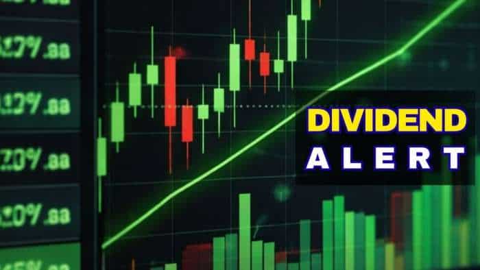Balkrishna Dividend: Largecap auto ancillary firm declares 200% payout—Have it in portfolio? Balkrishna Dividend: Largecap auto ancillary firm declares 200% payout—Have it in portfolio?