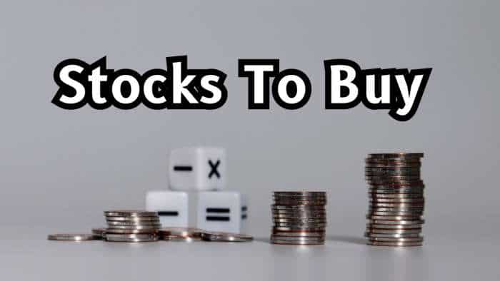 7 Stocks To Buy For Long Term: Analysts recommend 2 largecap, 4 midcap, 1 smallcap scrips; Sumitomo Chemical on the list