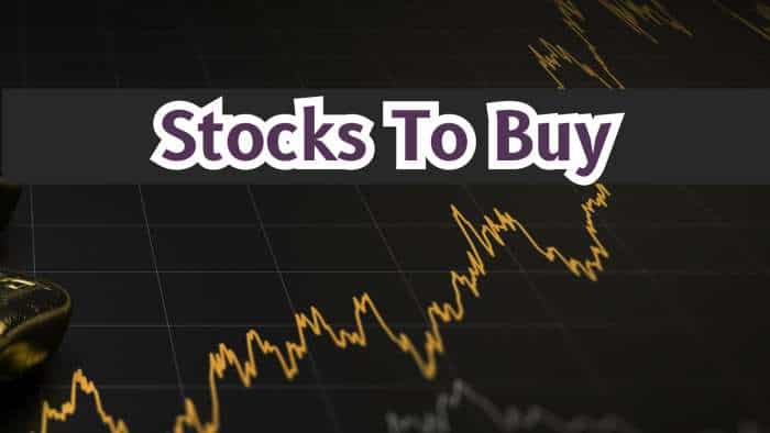 6 Stocks To Buy For Long Term: Analysts recommend 2 largecap, 4 smallcap scrips; Krishna Institute on the list