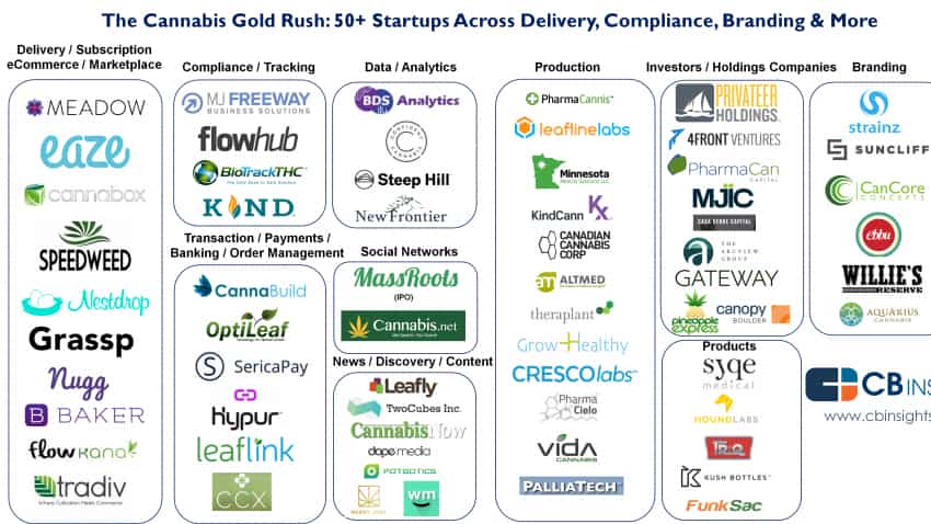 Investors seek to get high on Marijuana startups Investors seek to get high on Marijuana startups