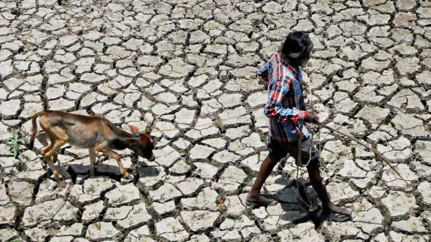 Supreme Court slams authorities over &#039;&#039;ostrich-like&#039;&#039; attitude to drought