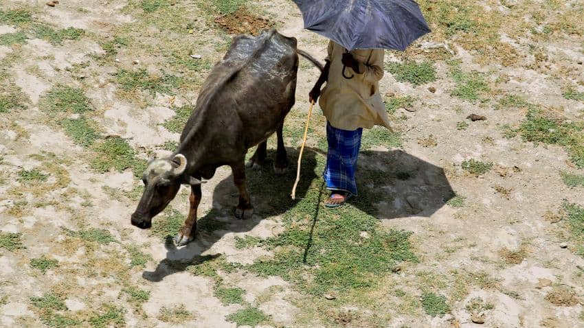 Strongest El Nino in nearly 20 years ends: Australian weather bureau Strongest El Nino in nearly 20 years ends: Australian weather bureau