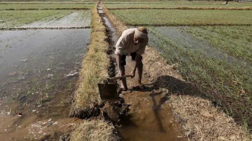 Now, farmers can get advise on crop sowing via mobile app 
