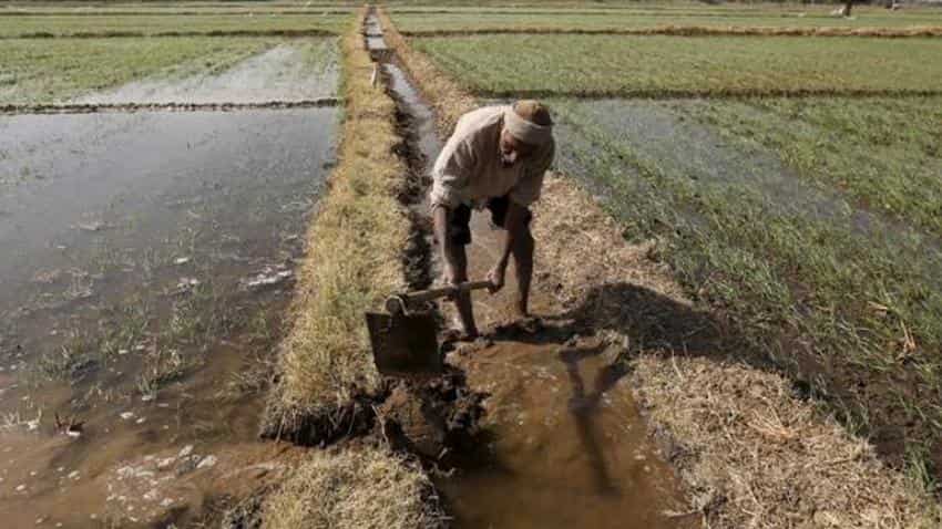 Now, farmers can get advise on crop sowing via mobile app Now, farmers can get advise on crop sowing via mobile app