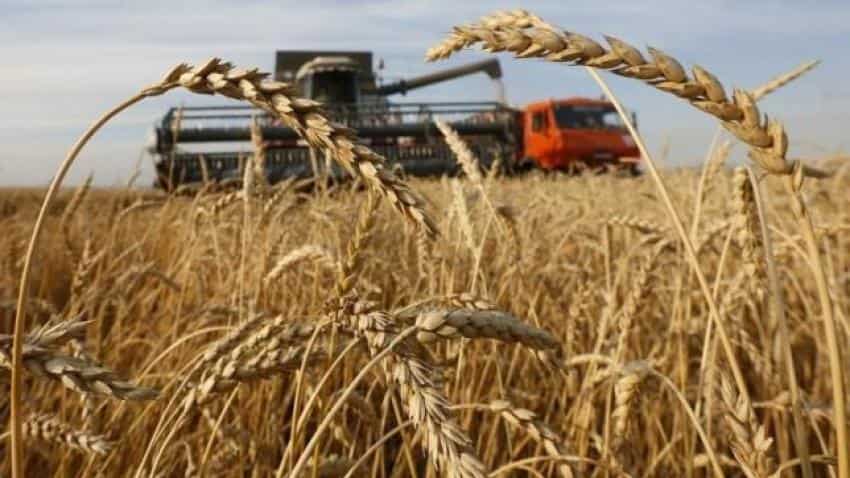 India extends 25% tax on wheat imports: Ram Vilas Paswan India extends 25% tax on wheat imports: Ram Vilas Paswan