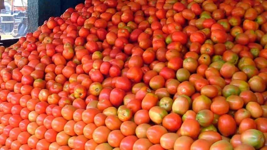 Price crosses Rs 100 but online grocery websites sell tomatoes for cheap