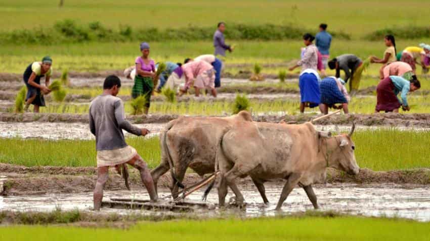 Area sown with Kharif crops lower than last year 