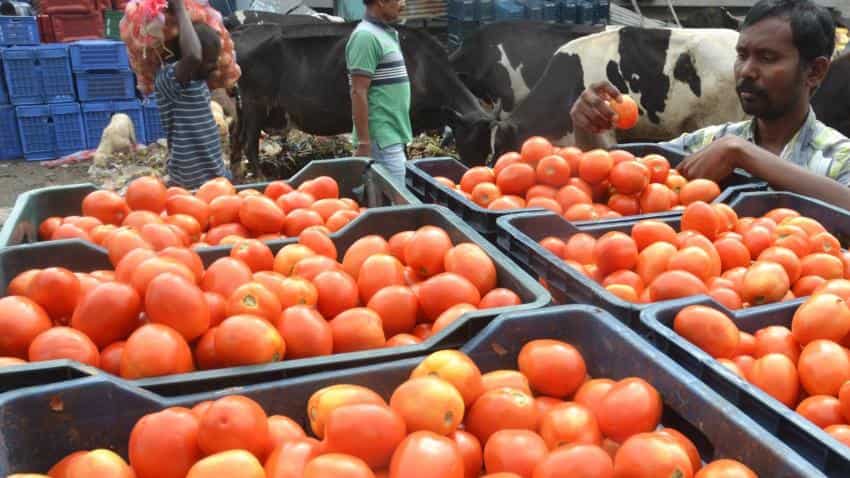 CPI inflation will moderate soon, no need to worry