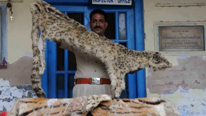 Govt names 106 e-commerce websites for illegal trade of wildlife