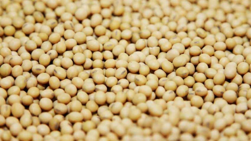 Monsanto lobbies with US lawmakers on Indian regulatory issues Monsanto lobbies with US lawmakers on Indian regulatory issues