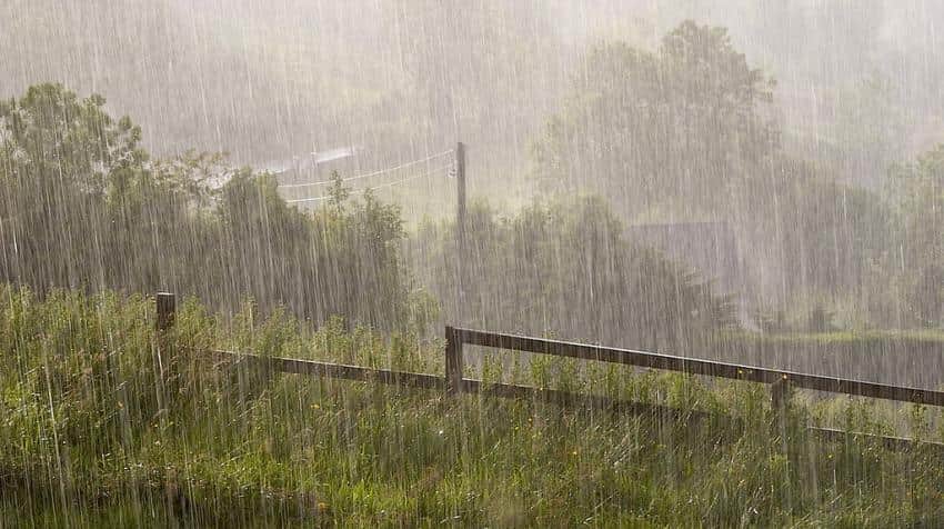 August rain falters but won't impact agri output August rain falters but won't impact agri output