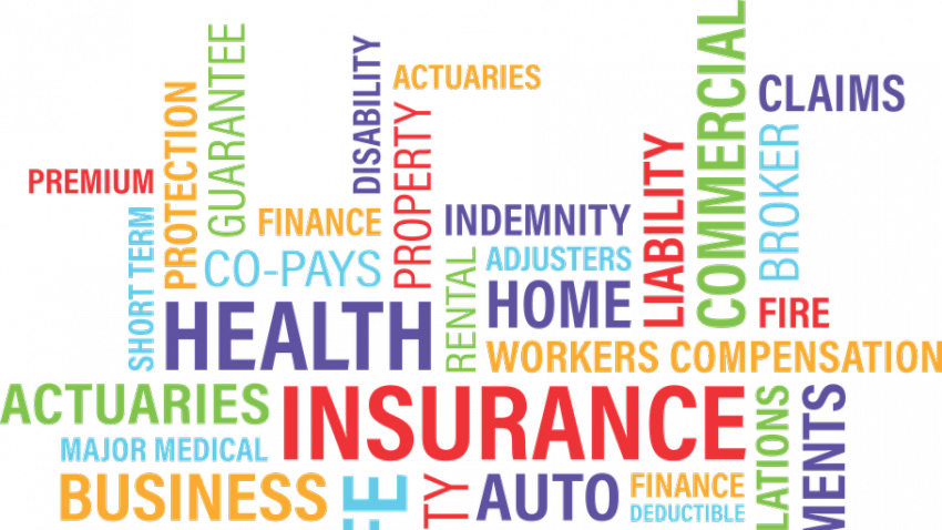 Annual premium in life insurance grow over 20% Annual premium in life insurance grow over 20%