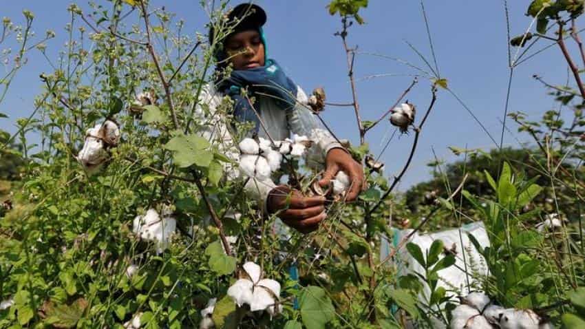 Cash crunch puts brake on India&#039;s cotton exports; rivals to gain
