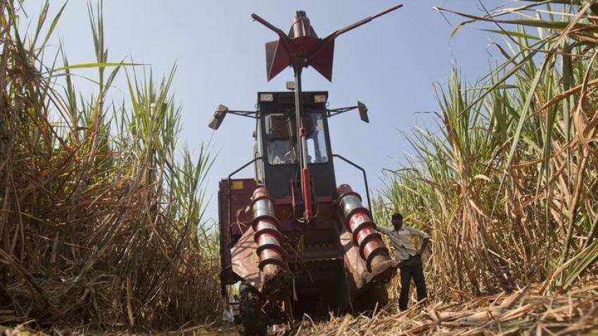 Sugar mills shut early as drought hits cane crop: Trade body