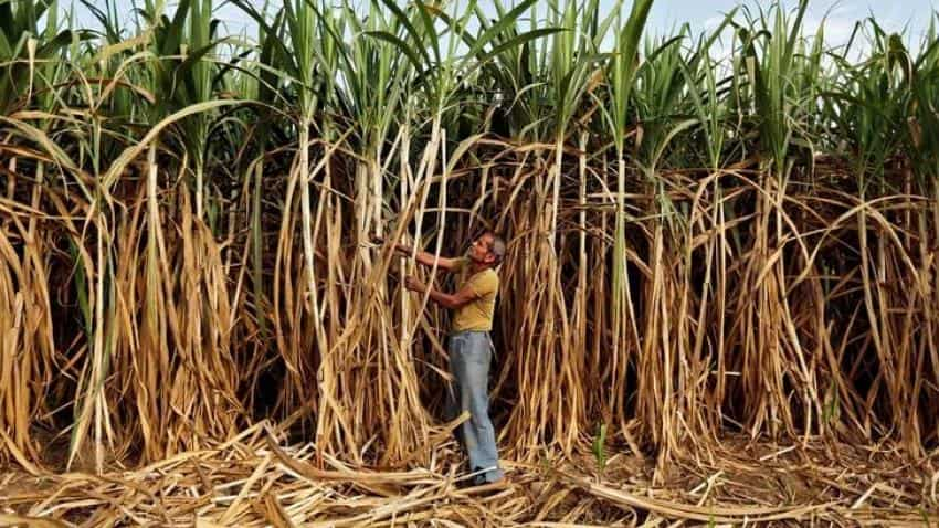 India&#039;s sugar production likely to fall to 22 million tonnes in 2016-17 on cane shortage 