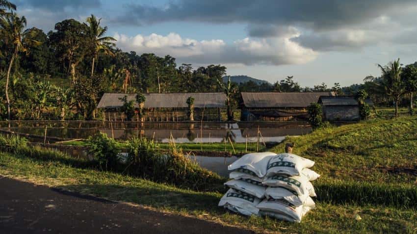 Fertiliser Minister seeks Rs 20,000 crore of special banking facility for industry Fertiliser Minister seeks Rs 20,000 crore of special banking facility for industry