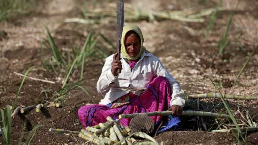 Maharashtra&#039;s sugar output drops as mills close early