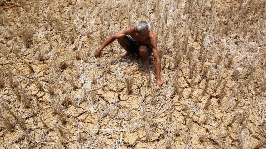 Note ban has caused Rs 20,000-50,000 per acre loss to farmers