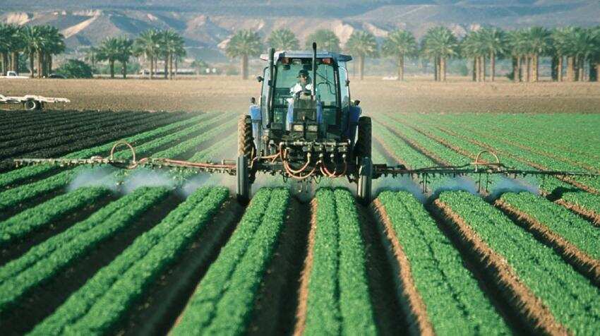 Centre forms panel to work for doubling farmers' income Centre forms panel to work for doubling farmers' income