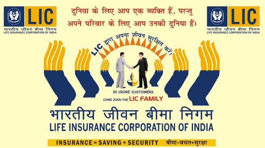 LIC's equity market investments slowdown LIC's equity market investments slowdown