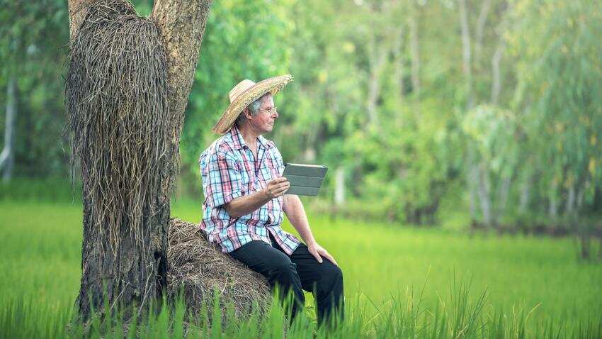 Investors now want to seed Agriculture start-ups to reap rewards Investors now want to seed Agriculture start-ups to reap rewards