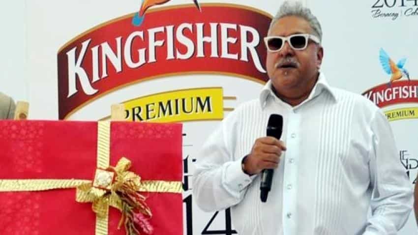 Vijay Mallya arrest: India will have to go through long process to bring him back