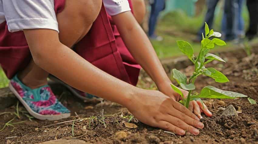 India to see $35-40 billion worth impact investments by 2025 India to see $35-40 billion worth impact investments by 2025